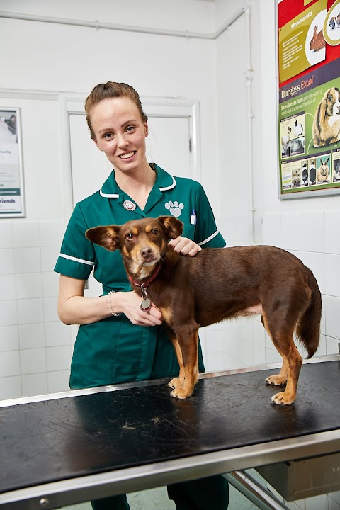 Best Friends Vet Group, Corby