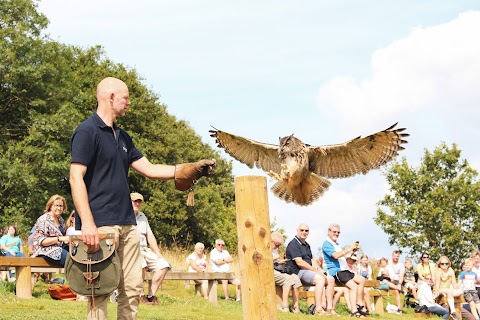 The British Bird of Prey Centre