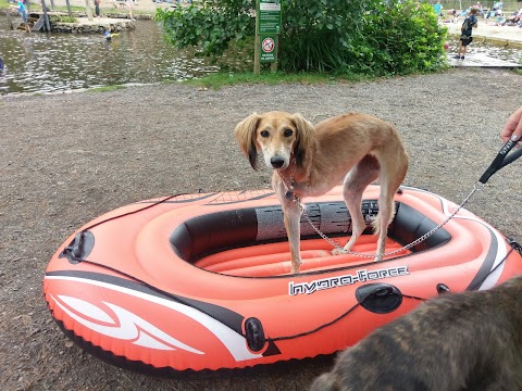 River Dart Adventures