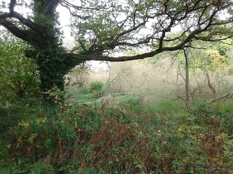 Brotherton Park and Dibbinsdale Local Nature Reserve