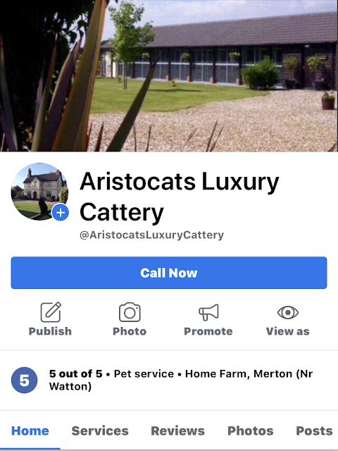 Aristocats Luxury Cattery NORFOLK