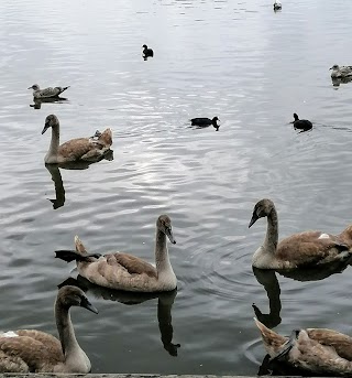 Brooklands Park and Lake