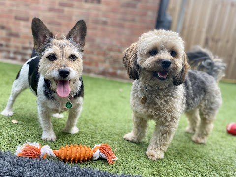 Waggy Walks 4 Dogs - Dog Home Boarding