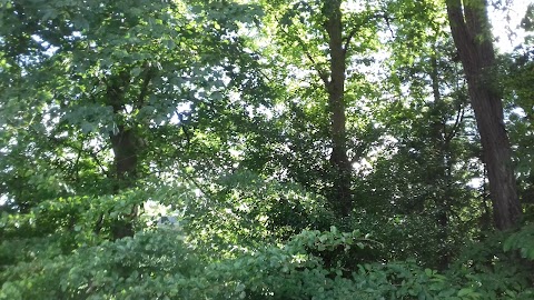 Bright Horizons The Treehouse Early Care & Education Centre