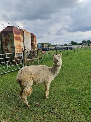 Melsop Farm Park