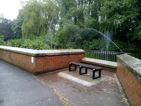 Trowbridge Park Pond