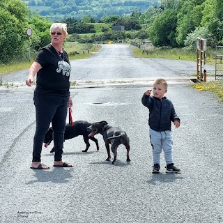 Canolfan Gymunedol Hafod Community Centre