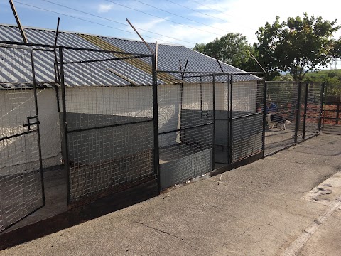 Ardoch Kennels