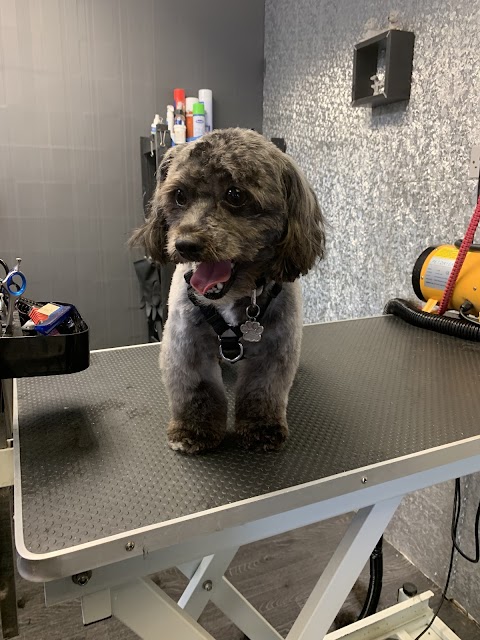 Mucky Pups Dog Groomers