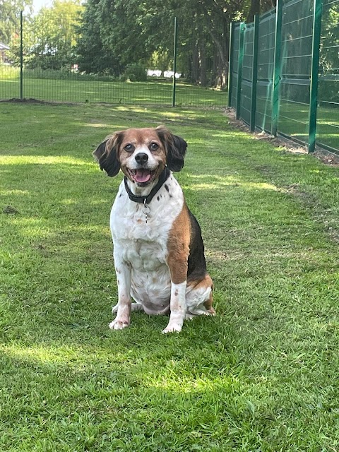 Brookfields Boarding and Canine Care Centre