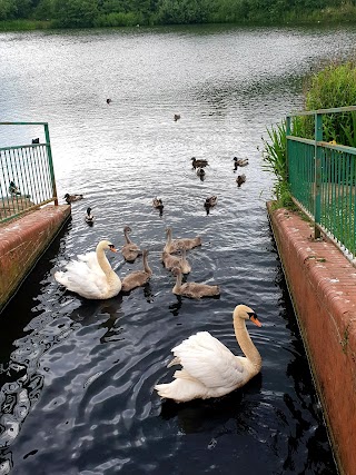 Sheepwash Nature Reserve