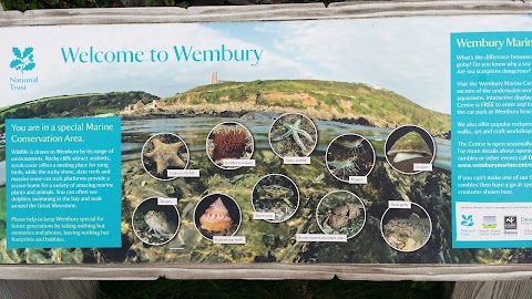 National Trust - Wembury