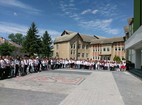 ОБЕРТИНСЬКИЙ ЛІЦЕЙ ТЛУМАЦЬКОЇ РАЙОННОЇ РАДИ ІВАНО-ФРАНКІВСЬКОЇ ОБЛАСТІ