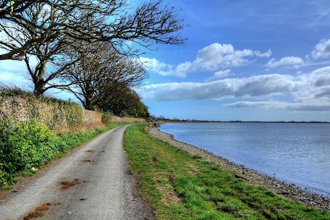 Broadmeadow Estuary