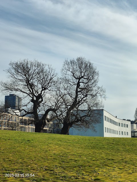 University of Essex Colchester Campus