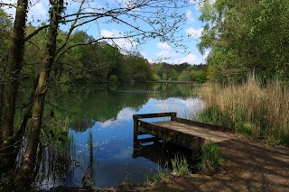 Forest of Dean