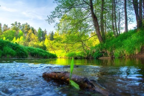 River Collingwod