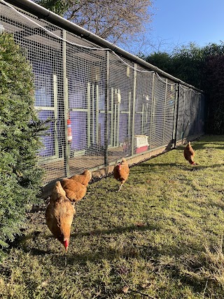 Farm Cottage Cattery