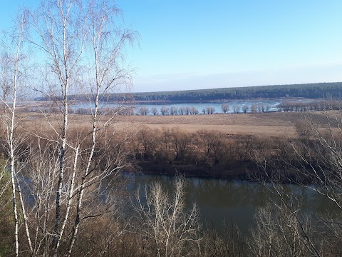 Пансіонат "Десна"