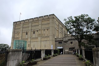 Norfolk Wildlife Gallery