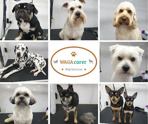 WAGAcarer Dog Grooming & Services