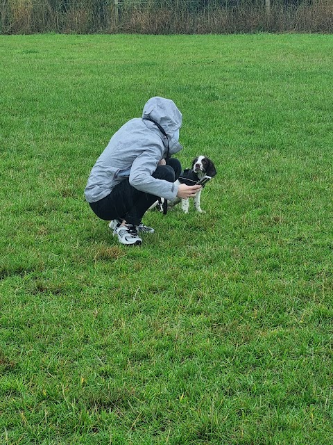 Off The Lead Dog Park