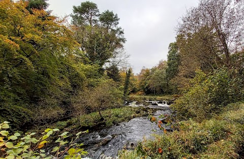 Mourne Park, Woodland Trust