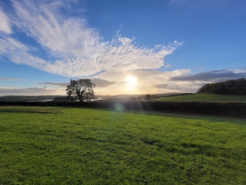 Delamont Country Park