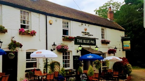 The Blue Pig