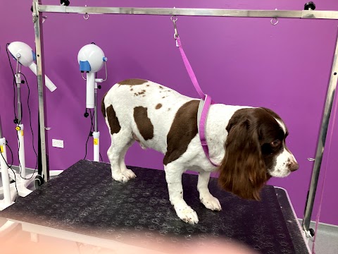 Laura and Michele's Dog Grooming