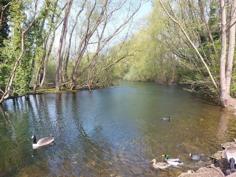 Colwick Country Park