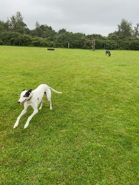 Tadley Common