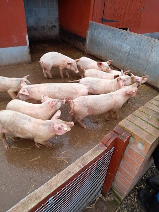 Hayrack Church Farm Park & Cafe