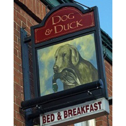 Dog & Duck Inn