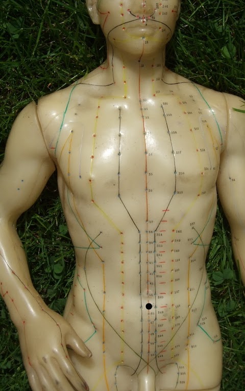 Lothian Acupuncture