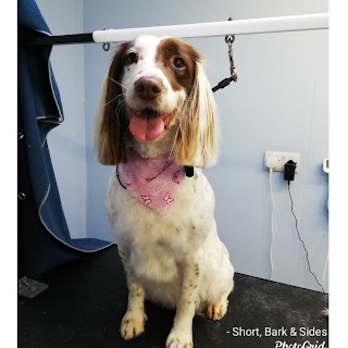 Short, Bark and Sides - dog grooming