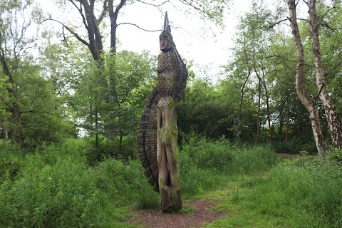 Brereton Heath Local Nature Reserve