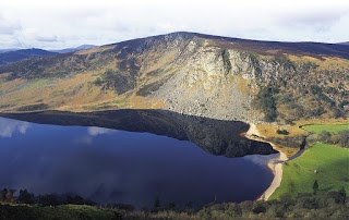 Wild Wicklow Tours