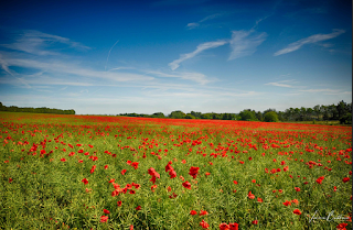 Mindfulness in Reading, Berkshire