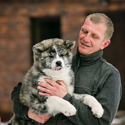 KOUKUFUNAINU - Akita-inu, Shiba-inu and Hokkaido Kennel