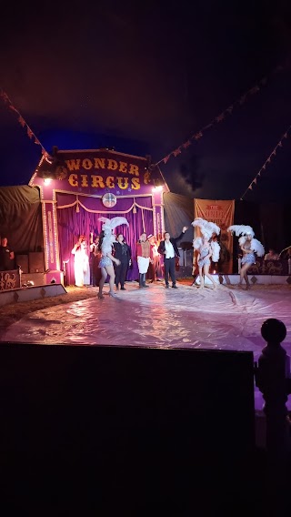 The Wonder Circus