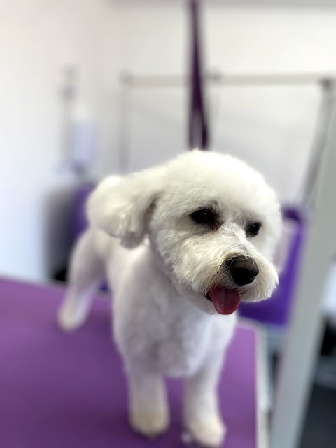 Sweets Dog Grooming