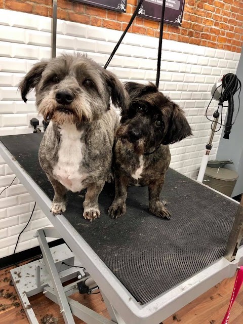 Dog Grooming - The Spa Ilkeston Pamper & Groom