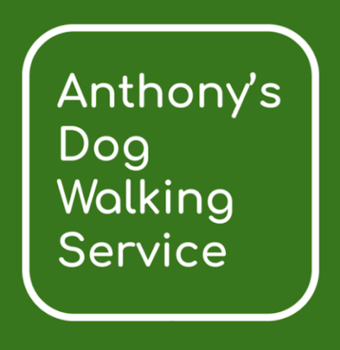 Anthony's Dog Walking Service