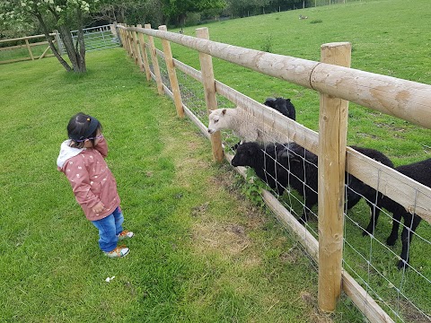 Broomey Croft Childrens Farm