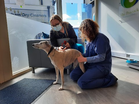 The Peacocks Veterinary Clinic