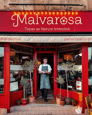 Malvarosa