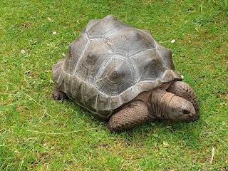 Birmingham Wildlife Conservation Park