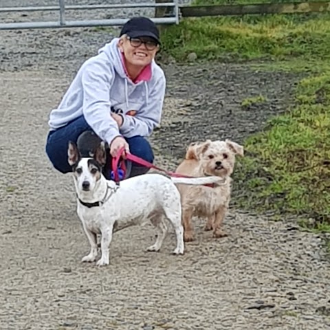 Burnley Pet Boarding Centre