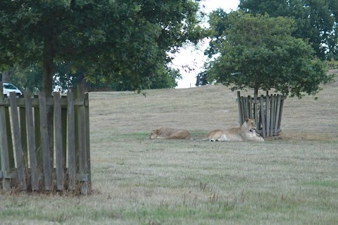 Westbury Wildlife Park Foundation